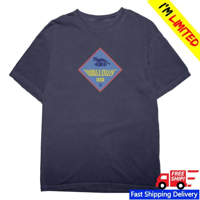 Official Wallows Music Scouts Shirts - Tee Shop Pro
