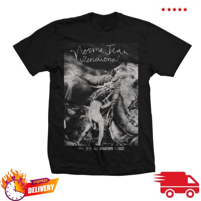 Normajeannoise Merch Meridional Album Series Part Ii Unisex Sweatshirt - Tee Shop Pro