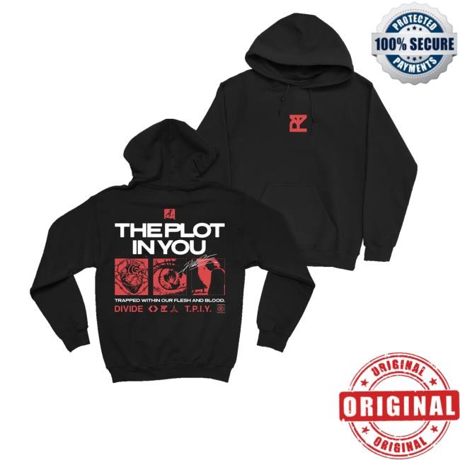 Theplotinyou Merch Store Shop Divide Hoodie - Tee Shop Pro
